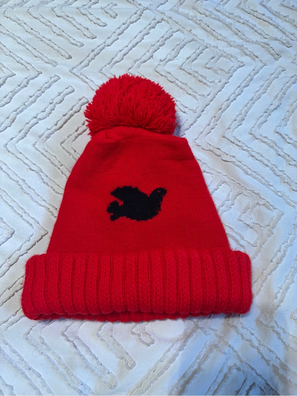 Free city Pom beanie